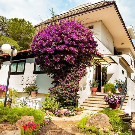 Bed & Breakfast Santa Fara Барі Екстер'єр фото