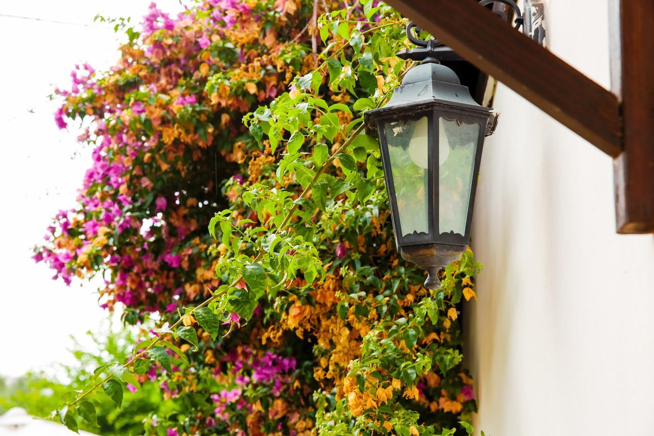 Bed & Breakfast Santa Fara Барі Екстер'єр фото