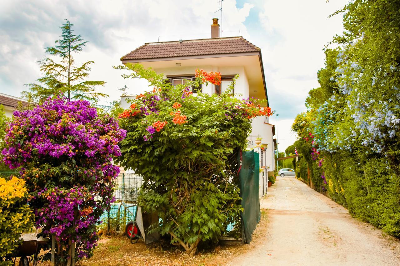 Bed & Breakfast Santa Fara Барі Екстер'єр фото